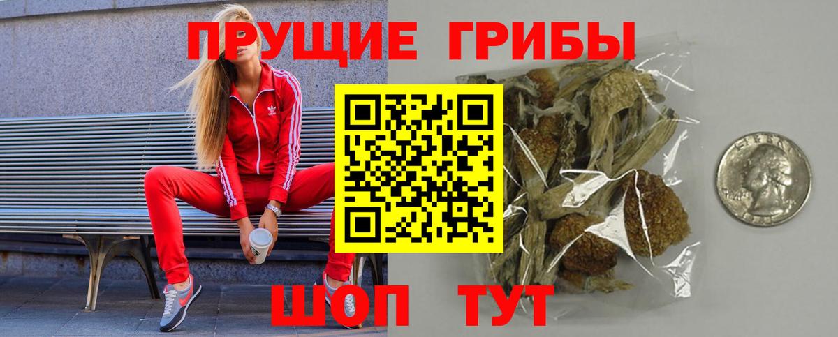 Галлюциногенные грибы мицелий  Вход с VPN  Галлюциногенные грибы MAGIC MUSHROOMS  продажа наркотиков  Югорск 